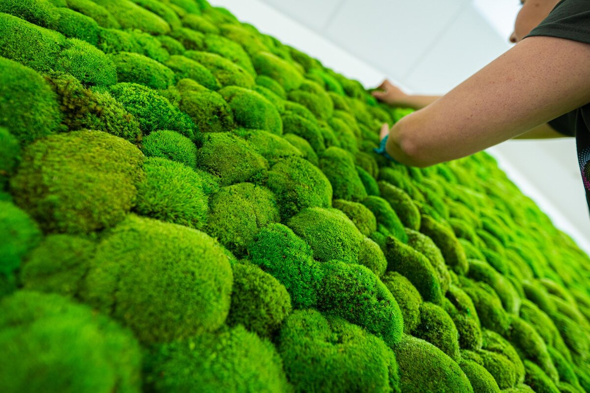 naturaldesign machove steny