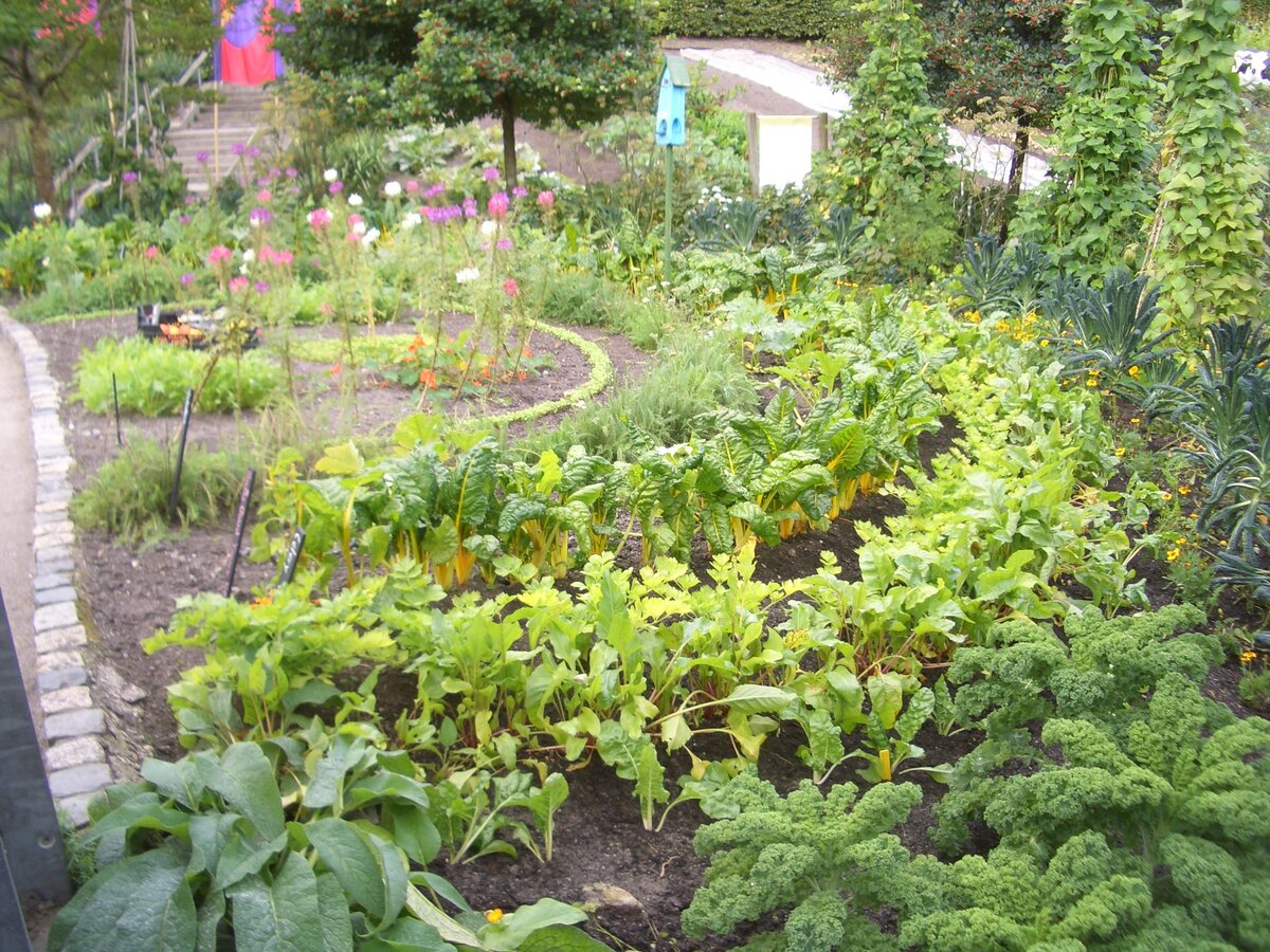 perma záhrada 1