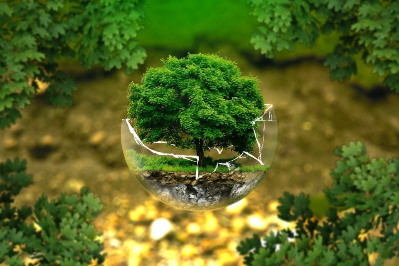 uhlik emisie stromy kompenzacia vysadenie ekologia svet rebricek 3