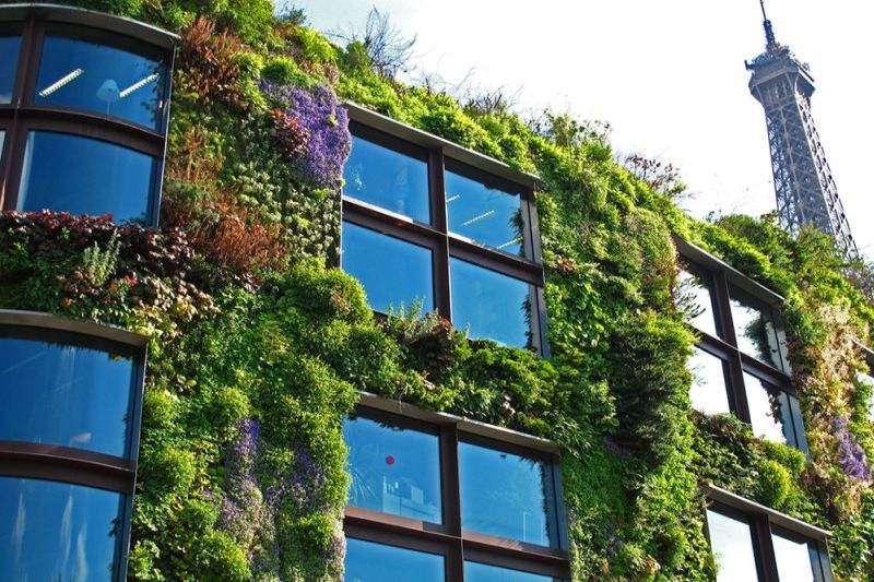 zelene vertikalne zahrady sveta vyhody zdravie funkcnost 1 uvod