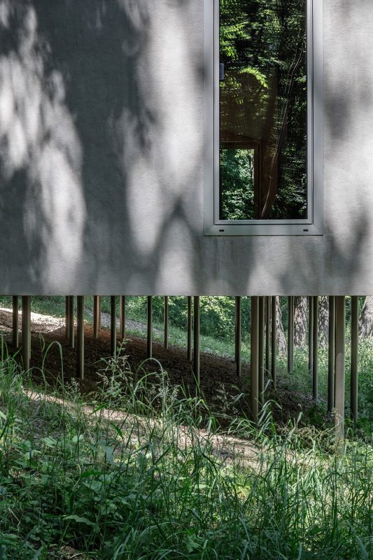 chata madarsko beres architekt koszeg priroda prostredie 3