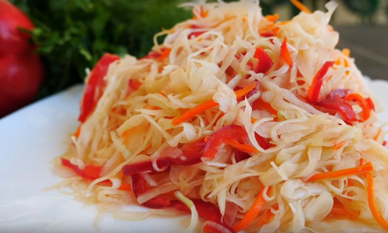 fermentacia zelenina maso soja ovocie navody 3