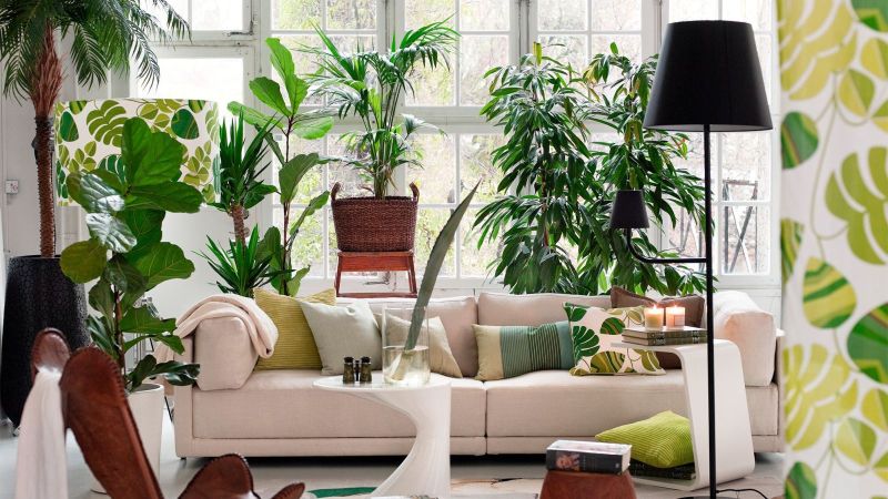 jungalow 2 homeandgarden