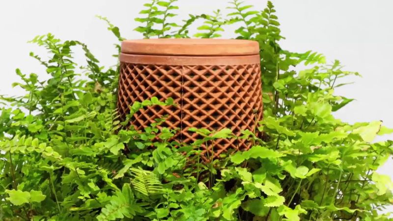 terraplanter 1