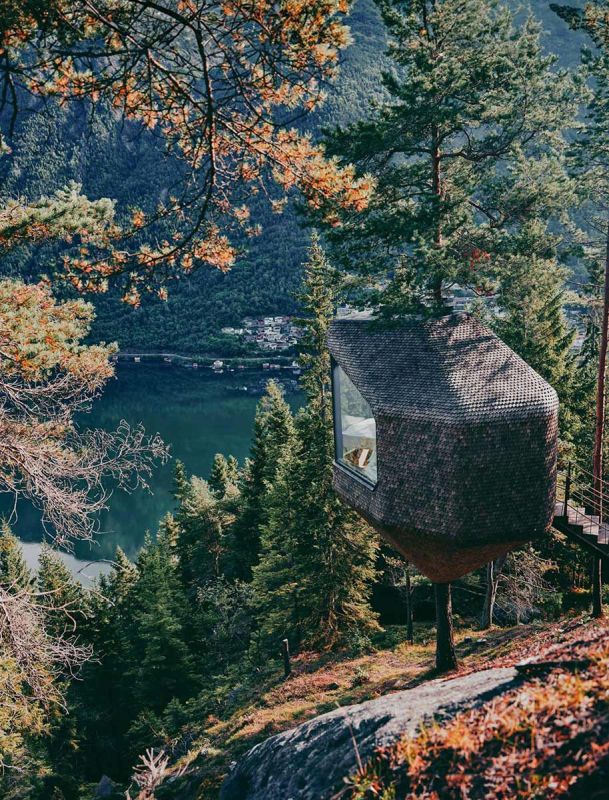 woodnest 1