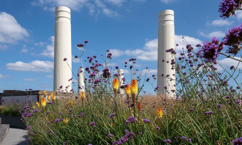 battersea 1