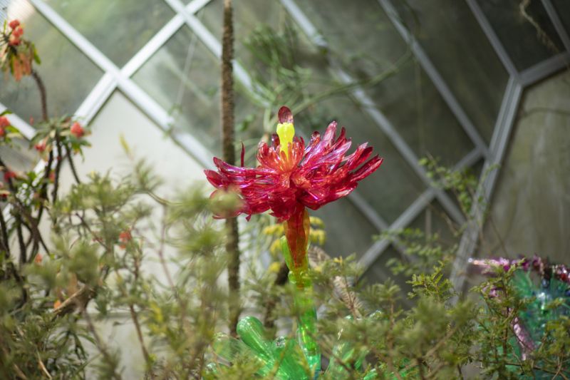 plast botanika 1