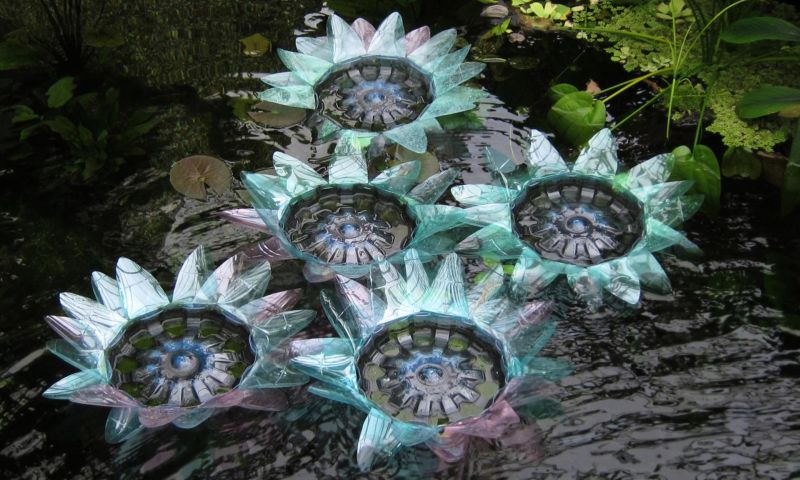 plast botanika 7