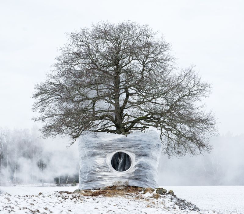 strom zima
