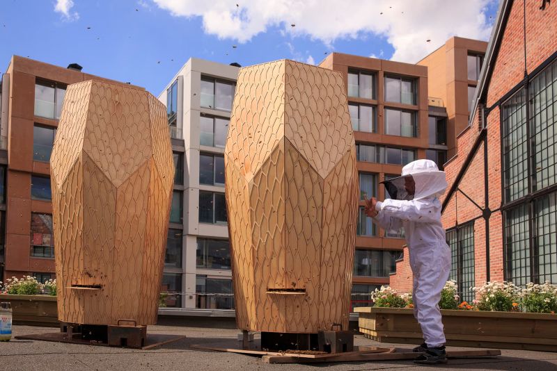 úle snohetta 1 uvod