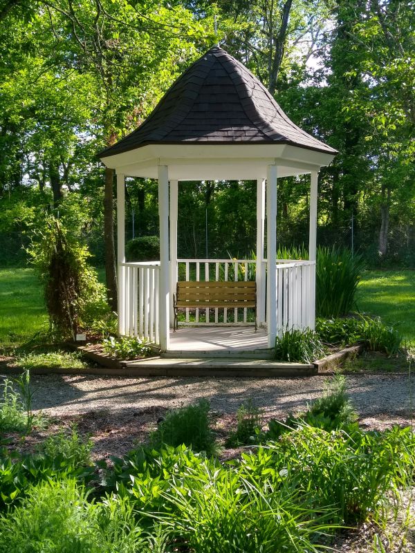 pergola 4