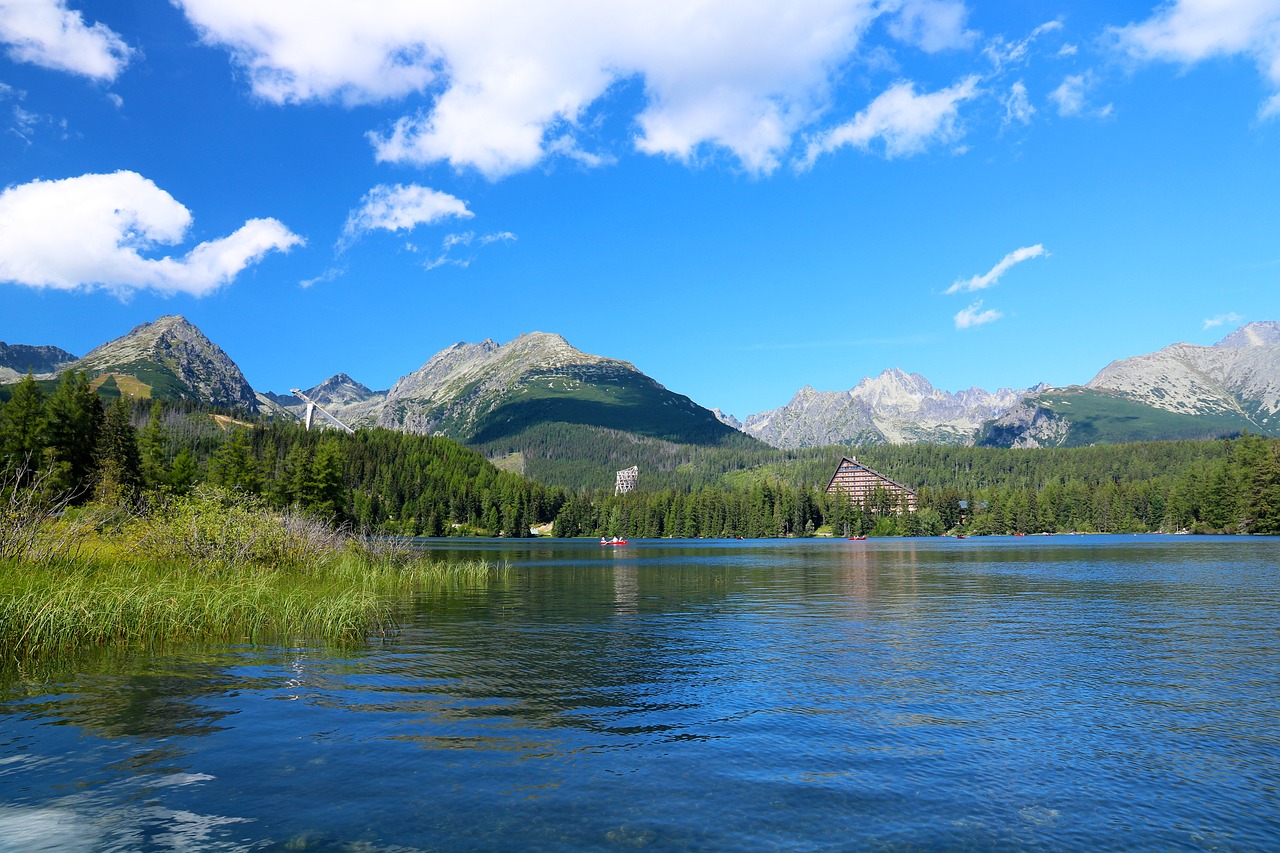pleso 1