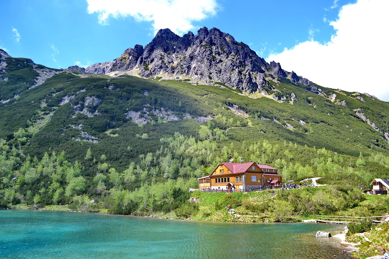 pleso 2