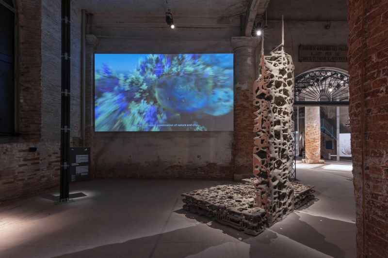 biotopia federico diaz 1