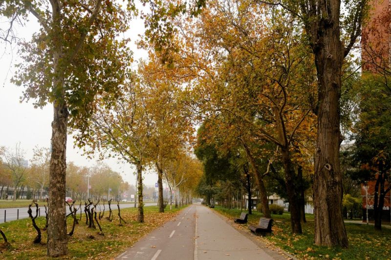 park 2