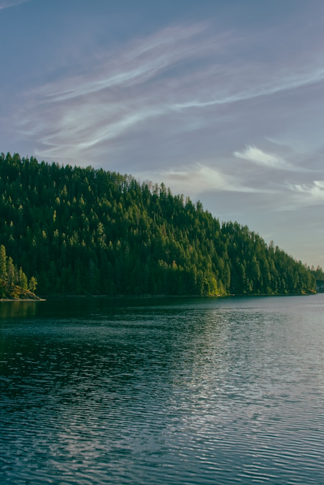 clay elliot nBJXsoUznww unsplash